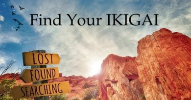 Find your IKIGAI